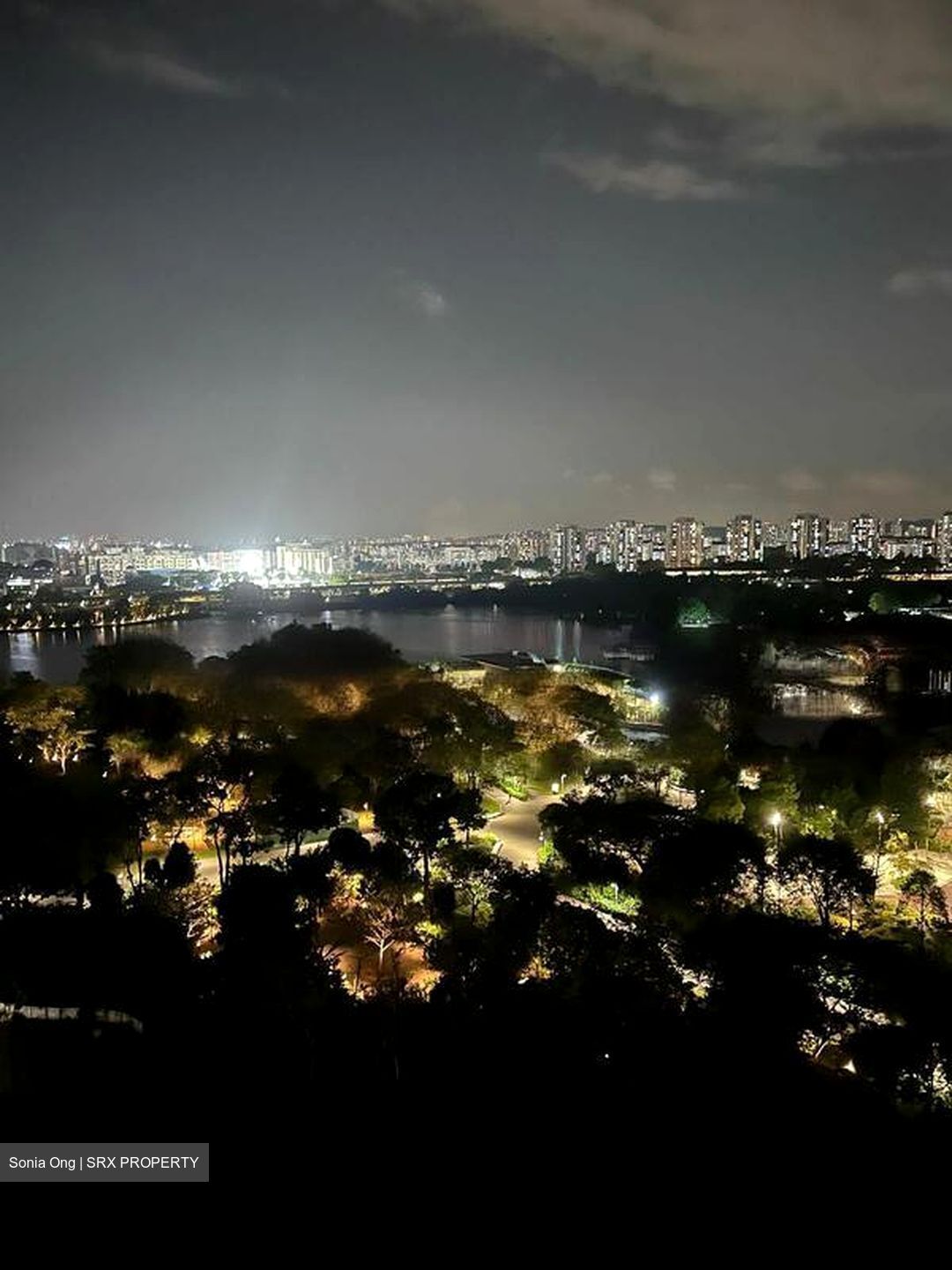 Lakeside Tower (D22), Apartment #447253391
